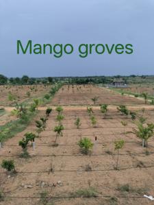 Image of 1000 Sq.ft Residential Plot / Land for sale in Keesara, Secunderabad for Rs. 786500