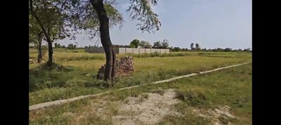 Image of 9000 Sq.ft Residential Plot / Land for sale in Yeida, Greater Noida for Rs. 8000000