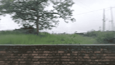 Simaliya Plot View 2