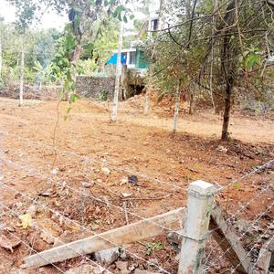 Karukutty Plot View 2