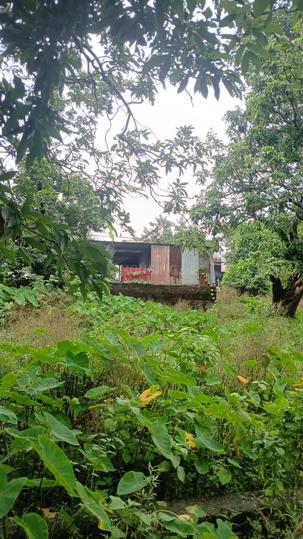Tunwala, Nehrugram Main Image 1