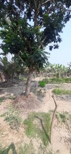 Image of 36000 Sq.ft Residential Plot / Land for sale in Falta, Kolkata for Rs. 17000000