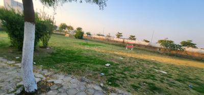Image of 800 Sq.ft Residential Plot / Land for sale in Talawali Chanda, Indore for Rs. 5600000