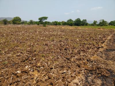 Image of 1089 Sq.ft Residential Plot / Land for sale in Hamarapur, Raigad for Rs. 285000