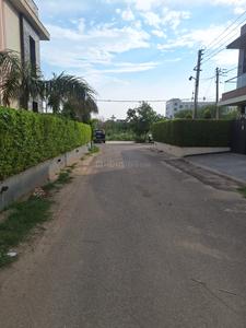 Sector 79 Plot View 2