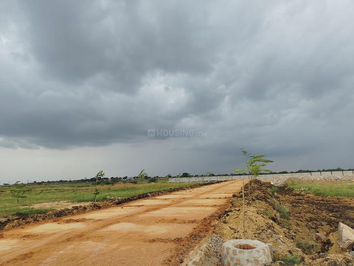 Hampton Palms Main Image 1