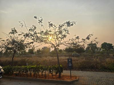 Tivoli Hills Plot View 2