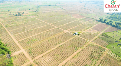 Image of 200 Sq.ft Residential Plot / Land for sale in Anakapalle, Visakhapatnam for Rs. 700000
