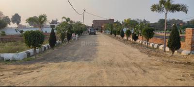 Image of 1000 Sq.ft Residential Plot / Land for sale in Banthra Sikander Pur, Lucknow for Rs. 1549999