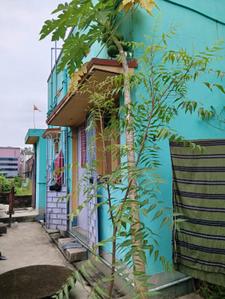 Image of 1450 Sq.ft 2 BHK Independent House for sale in Bandel, Hooghly for Rs. 3600000