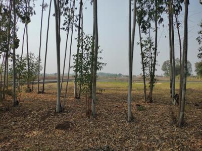 Image of 1000 Sq.ft Residential Plot / Land for sale in Naya Raipur, Raipur for Rs. 399999