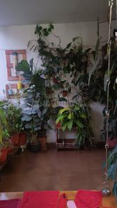 Image of 1193 Sq.ft 2 BHK Apartment / Flat for sale in Ama The Turf Building A B, Ghorpadi, Pune for Rs. 12500000