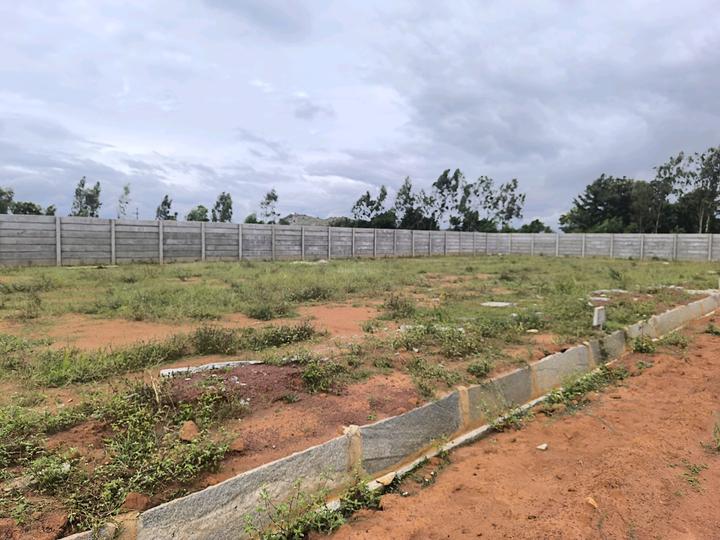 Telecom layout Main Image 1