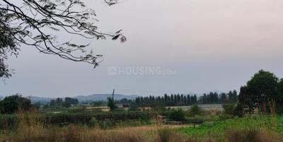 Image of 18764 Sq.ft Residential Plot / Land for sale in Gangapur, Nashik for Rs. 7000000