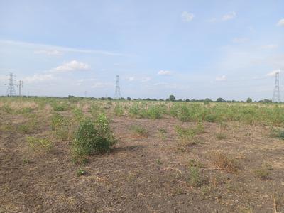 Image of 30502 Sq.ft Residential Plot / Land for sale in Tirumangalam, Madurai for Rs. 2450000