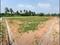 Aishwarya Enclave Plot View 2