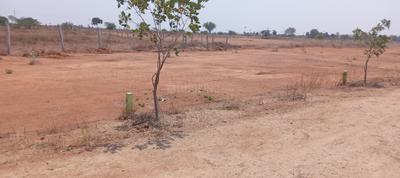 Image of 1140 Sq.ft Residential Plot / Land for sale in Panjappur, Tiruchirappalli for Rs. 1254000