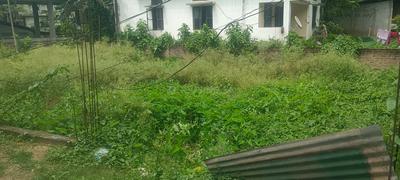 Image of 5760 Sq.ft Residential Plot / Land for sale in Narengi Tinali, Guwahati for Rs. 6500000