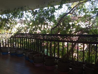 Balcony Image of 4032 Sq.ft 4 BHK Duplex for sale in Ashok Nagar Mangalore for Rs. 25000000