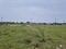 Balakrishnan Nagar Main Image 1