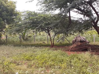 Image of 1550 Sq.ft Residential Plot / Land for sale in Chinna Seeragapadi, Salem for Rs. 2244600