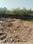 Vijay Nagar Plot View 2