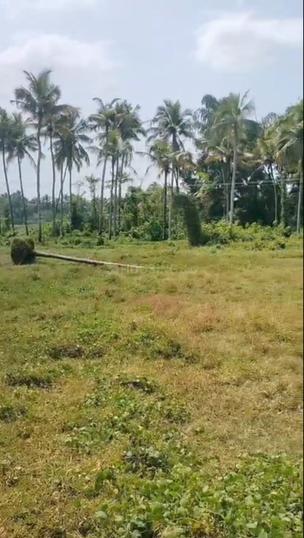 Amalanagar Main Image 1