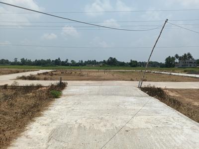 Dhaniakhali Plot View 3
