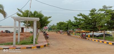 Tallavalasa Plot View 2