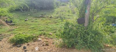 Image of 3920 Sq.ft Residential Plot / Land for sale in Maraimalai Nagar, Chennai for Rs. 23514000