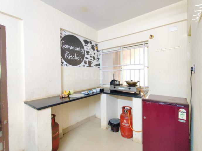 Kitchen Image of Colive  Pittsburgh in Bommanahalli, Bengaluru