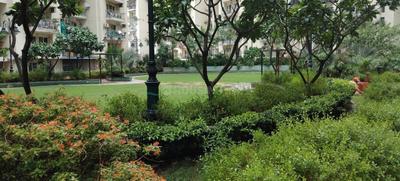 Image of 1340 Sq.ft 3 BHK Apartment / Flat for sale in AFOWO Raksha Addela, Noida Extension, Greater Noida for Rs. 10000000