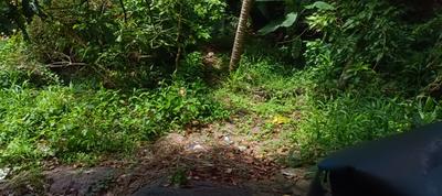Balcony Image of 700 Sq.ft 2 BHK Independent House for sale in Kallayam Thiruvananthapuram for Rs. 3000000