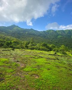 Image of 20000 Sq.ft Residential Plot / Land for sale in Bhor, Pune for Rs. 1800000