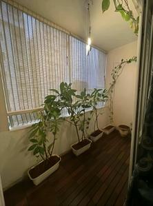 Balcony Image of 1678 Sq.ft 3 BHK Apartment / Flat for rent in Rohan Avriti, K R Puram Bengaluru for Rs. 95000