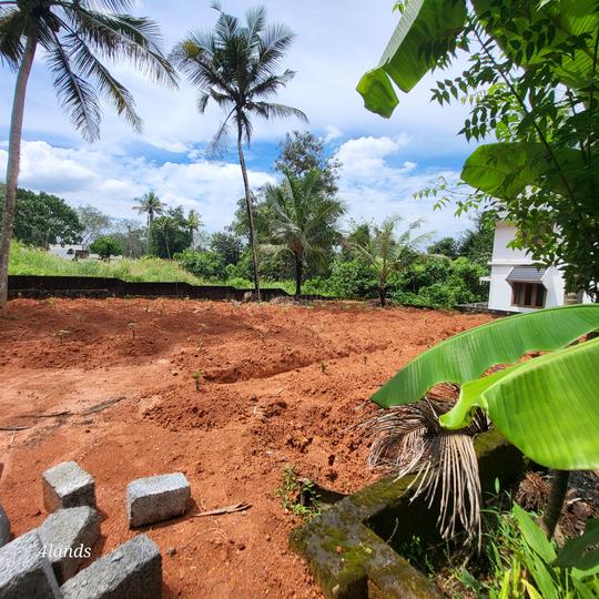 Puthenkurish Main Image 1