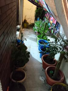 Balcony Image of 1200 Sq.ft 2 BHK Independent House for rent in Sector 22 Chandigarh for Rs. 35000