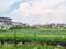 Sector 82 A Plot View 2
