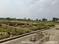 Kapsaur Padri Plot View 2