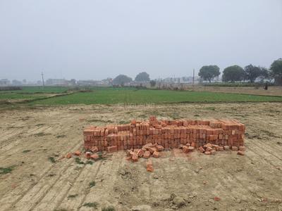 Image of 1360 Sq.ft Residential Plot / Land for sale in Ashapur, Pindra, Varanasi for Rs. 3500000
