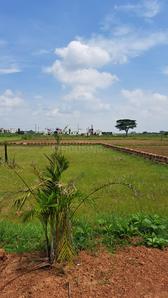 Baibhab nagar  Plot View 1