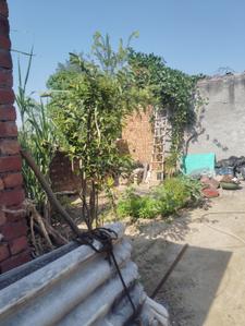 Image of 806 Sq.ft Residential Plot / Land for sale in Charan Bagh, Patiala for Rs. 550000