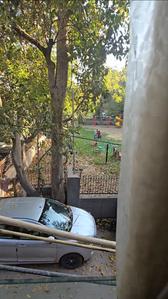 3 BHK Independent Builder Floor