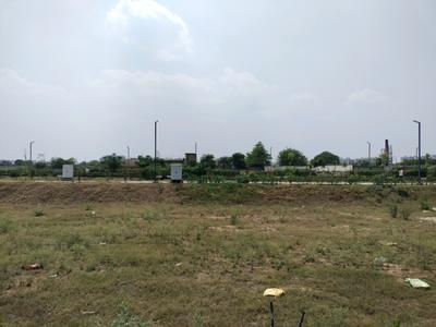 Amolik Aster Woods Plot View 2
