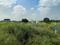 Sulur Plot View 3
