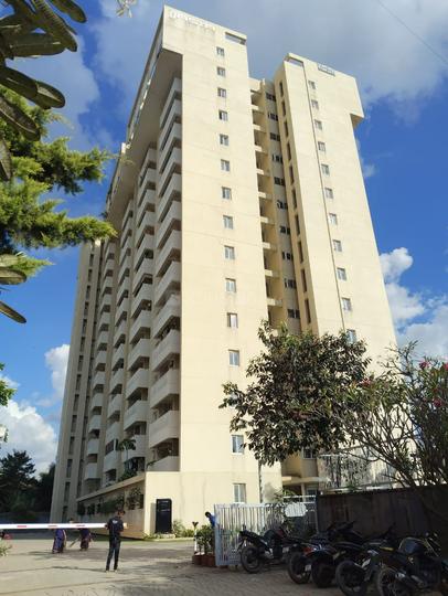 Dasta Concerto Main Image 1