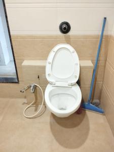 Bathroom Image of 2900 Sq.ft 5 BHK Apartment / Flat for rent in Bhagwati Imperia, Ulwe Navi Mumbai for Rs. 125000