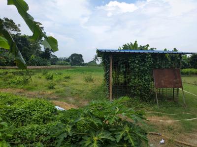 Image of 2880 Sq.ft Residential Plot / Land for sale in Ujaan Nagar, Omarhati, Kolkata for Rs. 4200001