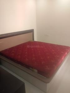 Bedroom Image of 1500 Sq.ft 3 BHK Apartment / Flat for rent in Gulmohar Colony Bhopal for Rs. 28000