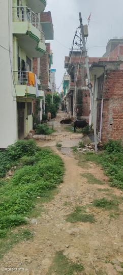Lohta Main Image 1